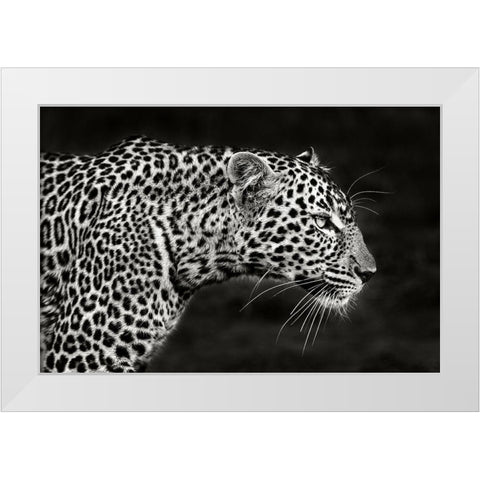 Leopard Close Up White Modern Wood Framed Art Print by Ortega, Xavier