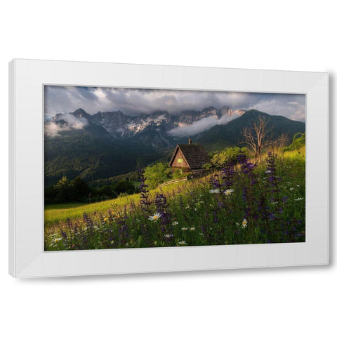 On The Meadows White Modern Wood Framed Art Print by Krivec, Ales