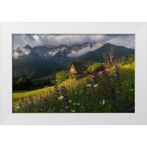 On The Meadows White Modern Wood Framed Art Print by Krivec, Ales