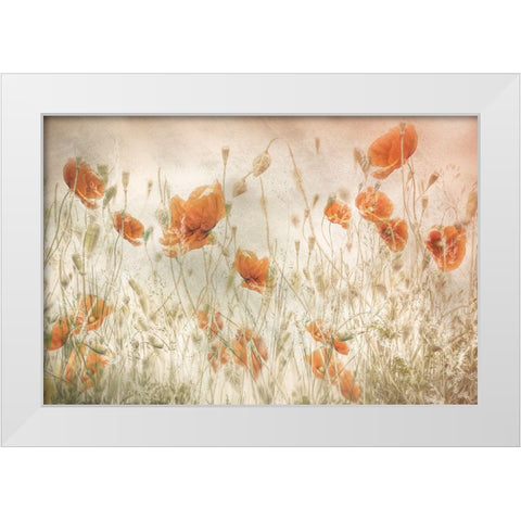 Poppies In The Field White Modern Wood Framed Art Print by Talen, Nel