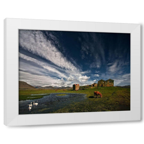 Country Life White Modern Wood Framed Art Print by H. Ingibergsson, Torsteinn