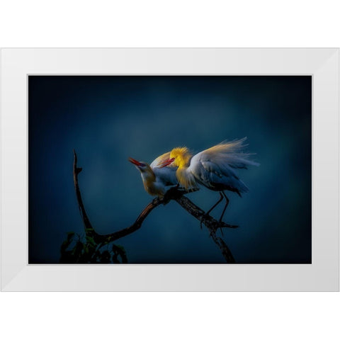 Season Of Joy White Modern Wood Framed Art Print by Yamashita, Takafumi