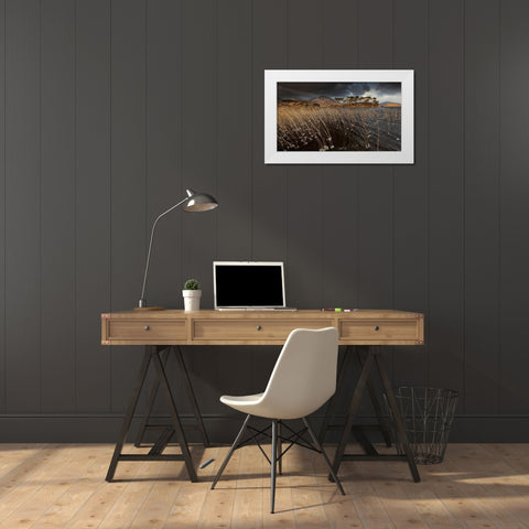 Pine Island White Modern Wood Framed Art Print by Krocka, Peter