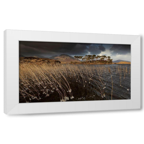 Pine Island White Modern Wood Framed Art Print by Krocka, Peter