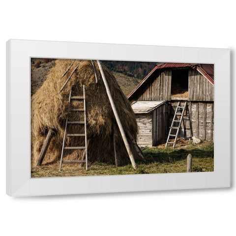 Rural White Modern Wood Framed Art Print by Jo, Madeline