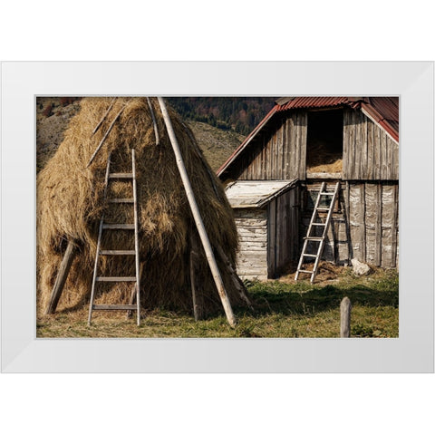 Rural White Modern Wood Framed Art Print by Jo, Madeline