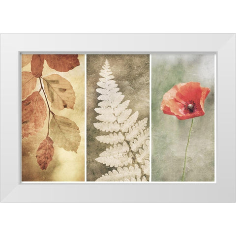 Untitled White Modern Wood Framed Art Print by Davidsson, Gustav