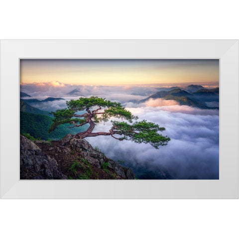 On The Rock White Modern Wood Framed Art Print by Seo, Tiger