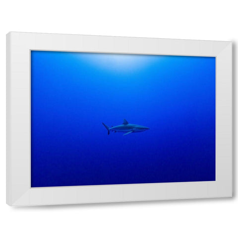 Into The Blue White Modern Wood Framed Art Print by Melesan, Serge