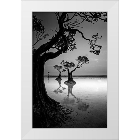 Framing White Modern Wood Framed Art Print by Muliani Hartojo, Angela