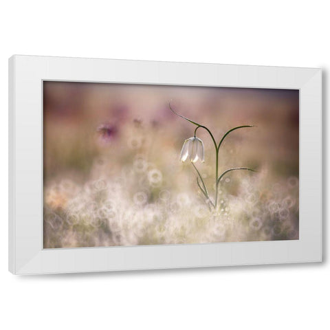 Albino White Modern Wood Framed Art Print by Van Dongen, Anton