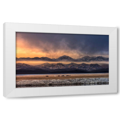 Qinghai (EÂ?Aemm) White Modern Wood Framed Art Print by Deng, Larry