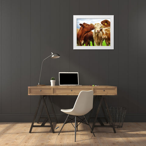 Pre Shoot White Modern Wood Framed Art Print by Clark, Ray