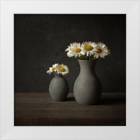 Daisies White Modern Wood Framed Art Print by Veenstra, Ytje