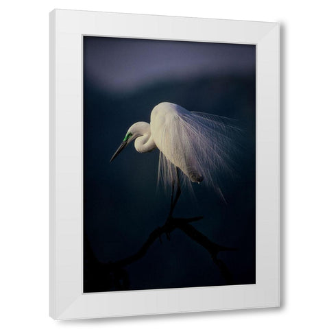 Beautiful Ornament Feathers White Modern Wood Framed Art Print by Yamashita, Takafumi