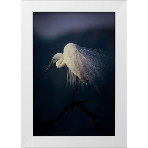 Beautiful Ornament Feathers White Modern Wood Framed Art Print by Yamashita, Takafumi