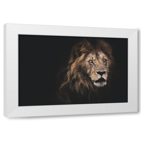 Royalty White Modern Wood Framed Art Print by Loesch, Frederic