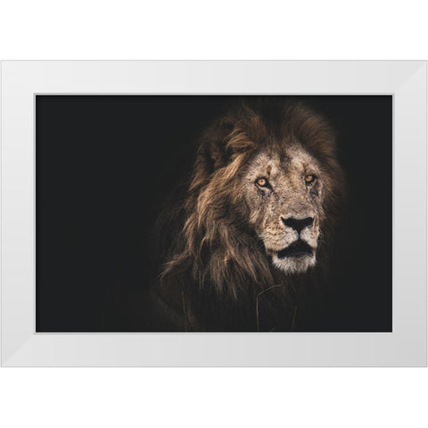 Royalty White Modern Wood Framed Art Print by Loesch, Frederic