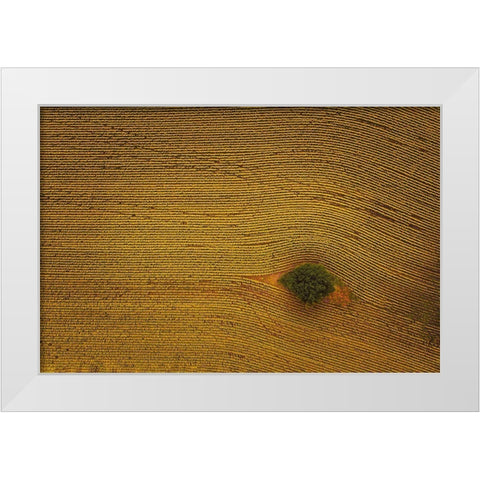 Eye In Field White Modern Wood Framed Art Print by Zheng, Michael