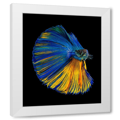 Yellow A Blue White Modern Wood Framed Art Print by Halil, Andi
