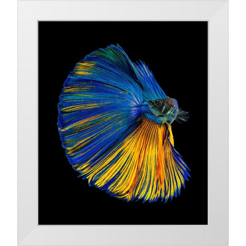 Yellow A Blue White Modern Wood Framed Art Print by Halil, Andi