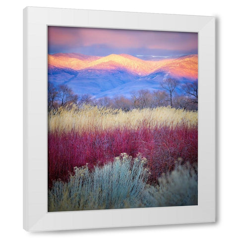 Field Layers White Modern Wood Framed Art Print by Kirbyturnage