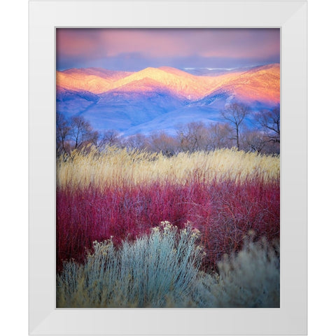 Field Layers White Modern Wood Framed Art Print by Kirbyturnage