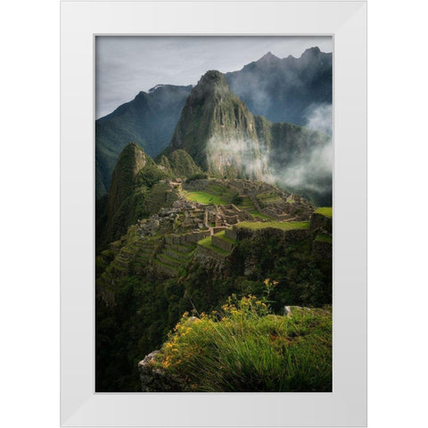 Andean Garden White Modern Wood Framed Art Print by K. Papp, James