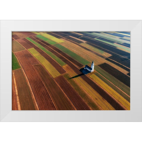 Soraiko Fields White Modern Wood Framed Art Print by Kravanja, Jure