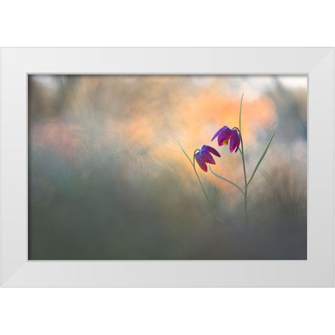 Spring Danse White Modern Wood Framed Art Print by Blomme, Sebastien