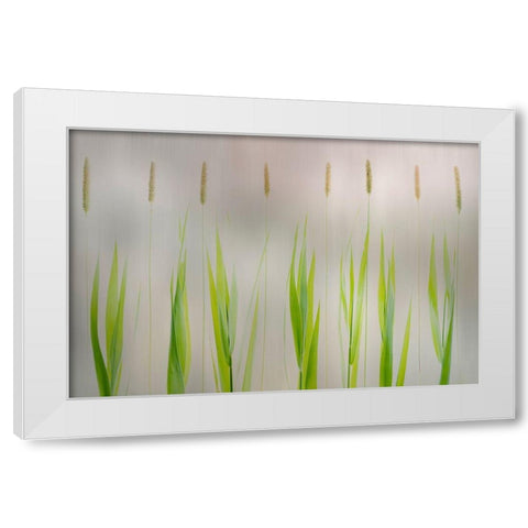 Harmony White Modern Wood Framed Art Print by Van Son, Greetje