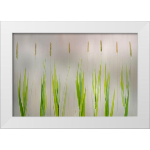 Harmony White Modern Wood Framed Art Print by Van Son, Greetje