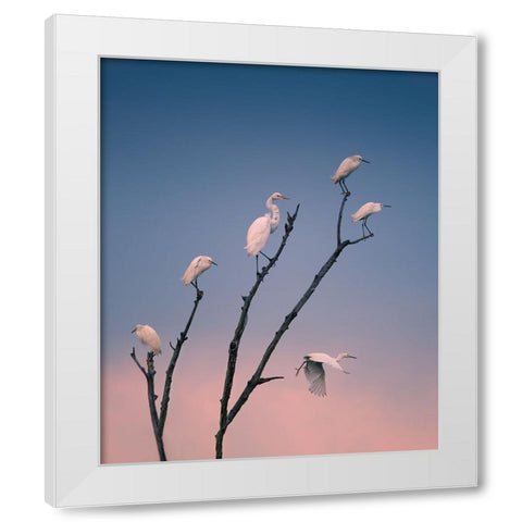 Social Distancing White Modern Wood Framed Art Print by P., Ruiqing