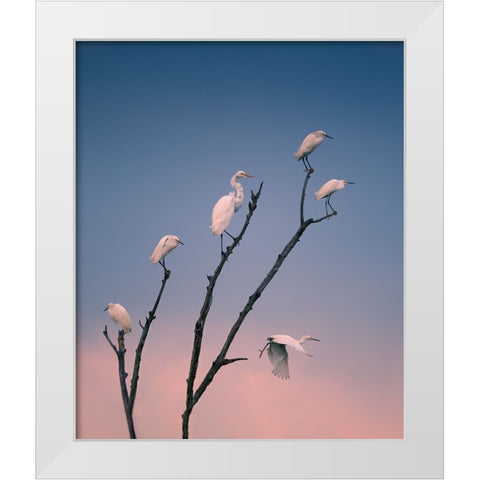 Social Distancing White Modern Wood Framed Art Print by P., Ruiqing