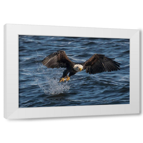 Eagle On The Mississippi River White Modern Wood Framed Art Print by Xu, Leah