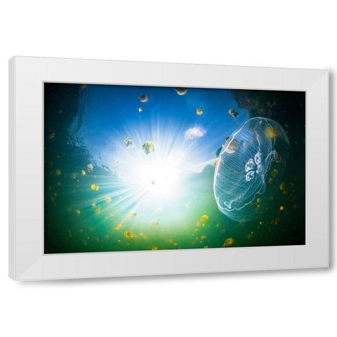 Medusa Aurelia White Modern Wood Framed Art Print by Gabriel, Barathieu