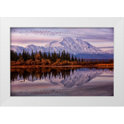 Flying Over White Modern Wood Framed Art Print by Zheng, Michael