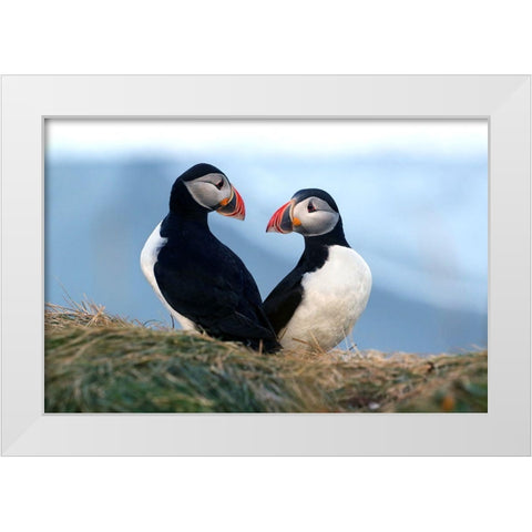 Is This Love White Modern Wood Framed Art Print by Redaelli, Marco