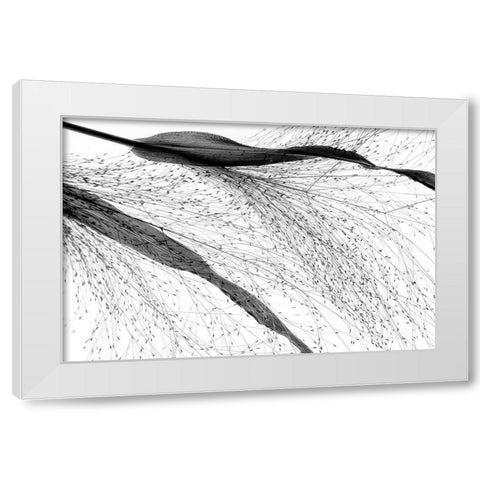 Black Grass White Modern Wood Framed Art Print by Dingemans, Saskia