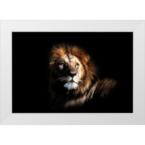 The Simber White Modern Wood Framed Art Print by Fischer, Jie