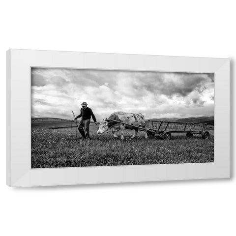 Bent Spine White Modern Wood Framed Art Print by Toldi, Zoran