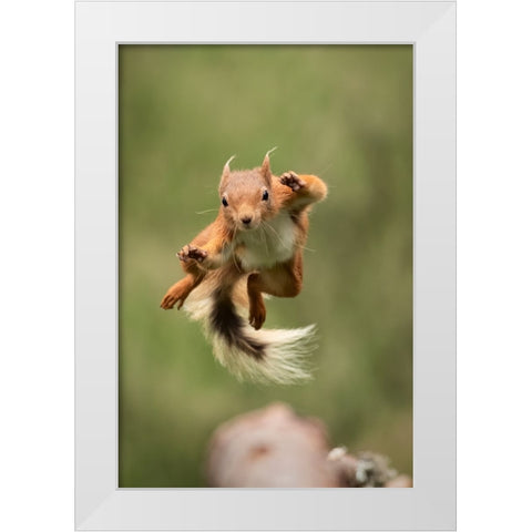 Ninja Dancing White Modern Wood Framed Art Print by Ashton-Jones, Howard