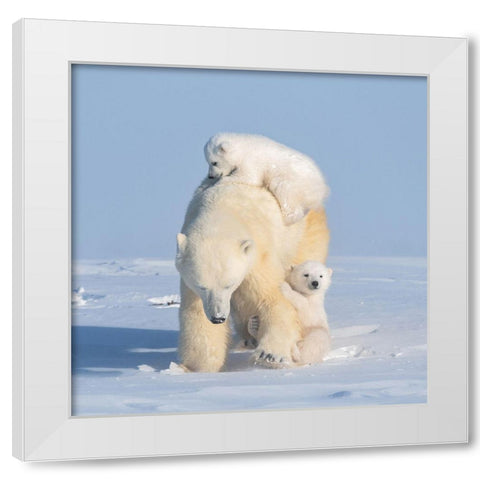 Moms Carry-On White Modern Wood Framed Art Print by Hao, Jiang