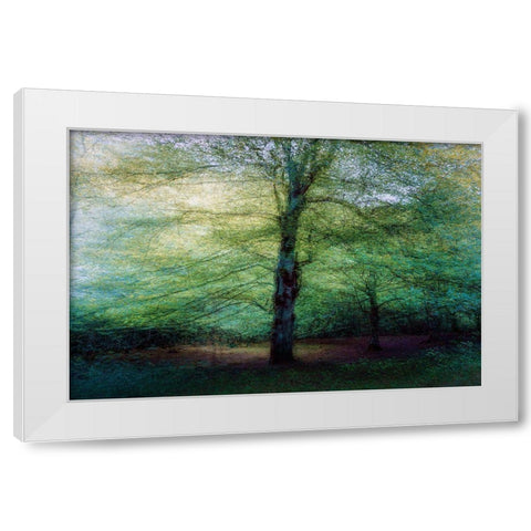 Forest White Modern Wood Framed Art Print by Antonio Cobo, Marco