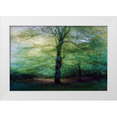 Forest White Modern Wood Framed Art Print by Antonio Cobo, Marco