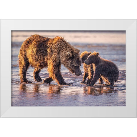 Eye To Eye White Modern Wood Framed Art Print by C. Sink, Jeffrey