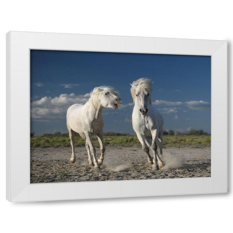 White Horses White Modern Wood Framed Art Print by Anton, Rostovskiy