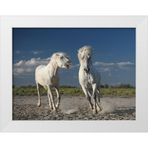 White Horses White Modern Wood Framed Art Print by Anton, Rostovskiy