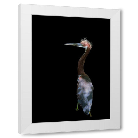 Bad Haired Day White Modern Wood Framed Art Print by Zhu, Eddie