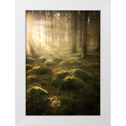 In The Woods White Modern Wood Framed Art Print by Lindsten, Christian